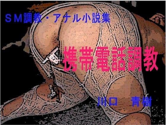 SM調教・アナル小説「携帯電話調教」