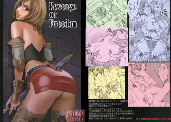 REVENGE OR FREEDOM サンプル 1