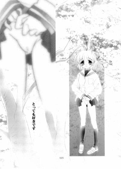 Fanta サンプル 3