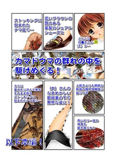 カマドウマの逆襲！ サンプル 2