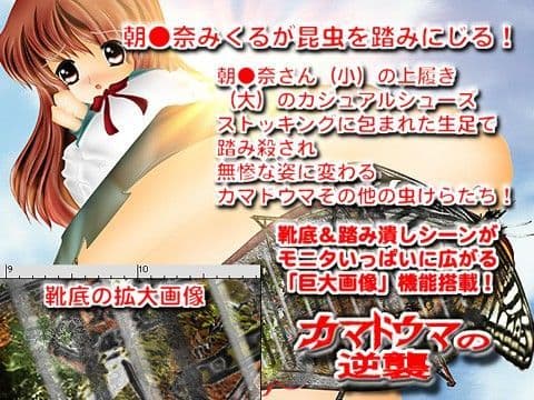 カマドウマの逆襲！