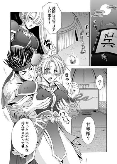 淫・三國夢想 サンプル 3