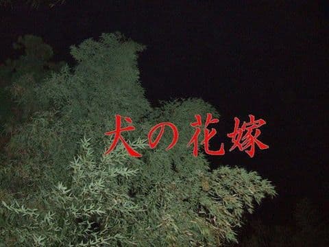 犬の花嫁 サンプル 1