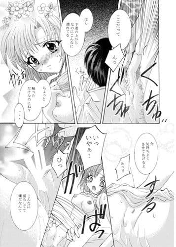 白き翼の祈り サンプル 3