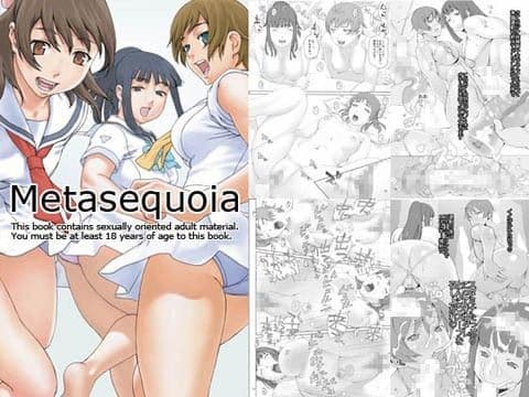 Metosequoia