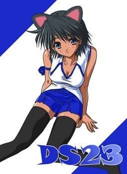 DS23