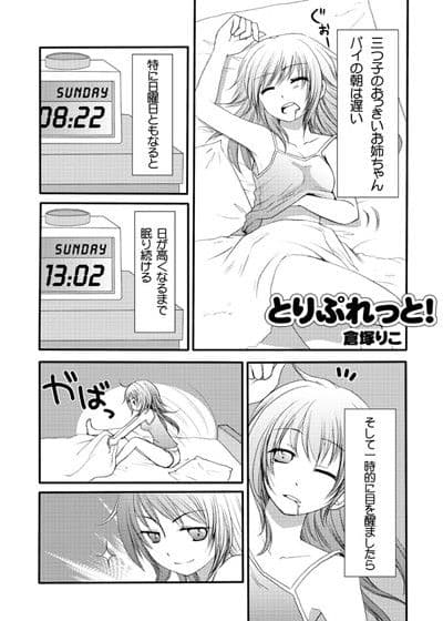 とりぶれっと・3 サンプル 1