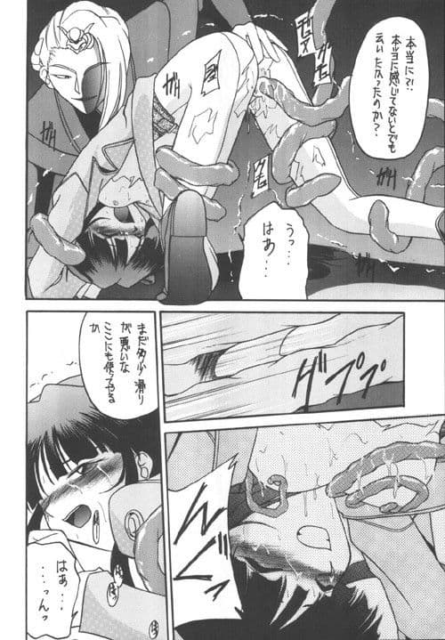 華美 サンプル 2