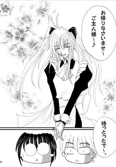 コカブ再生計画 サンプル 1