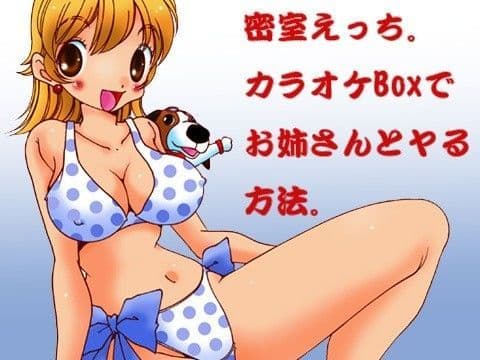 密室えっち。カラオケBoxでお姉さんとヤる方法。