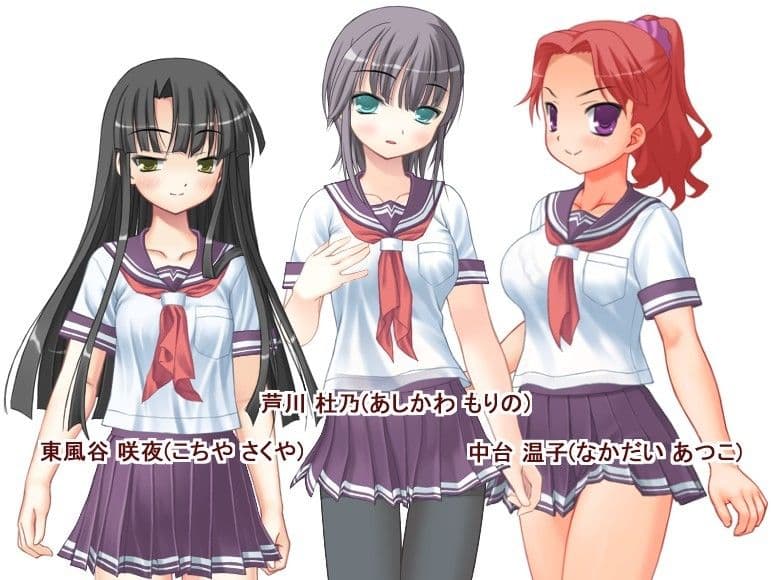 壁穴の向こうで今日のお当番が待ってるっ（ハート） Situation.1 クールビューティの介助 サンプル 1