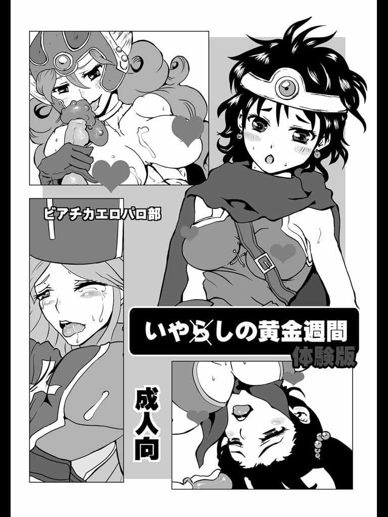 【DQ3勇戦武僧】ふたなりレズコピー本【ふたけ7頒布】 サンプル 1