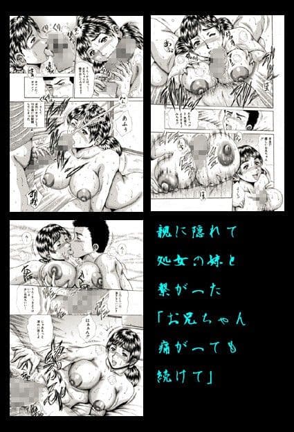 姉と妹の福袋・近親相姦マンガ総集編 サンプル 1