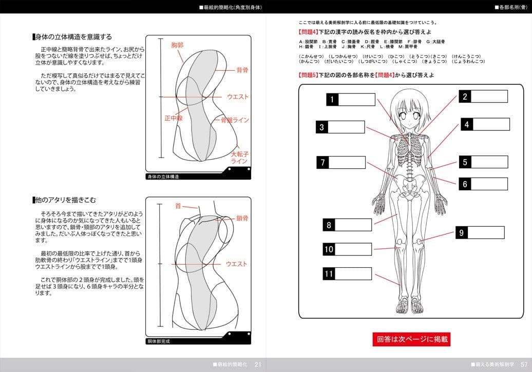 萌える美術解剖学 サンプル 3