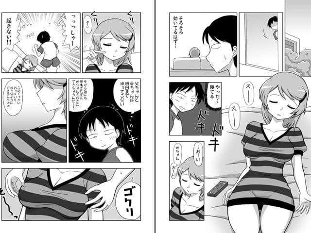姉寝姦〜あねかん〜 サンプル 1
