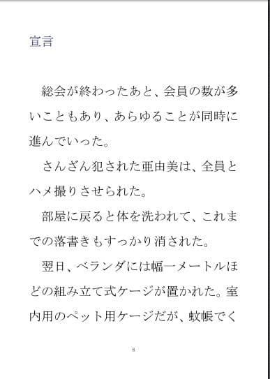 小説『亜由美』第二部 サンプル 1
