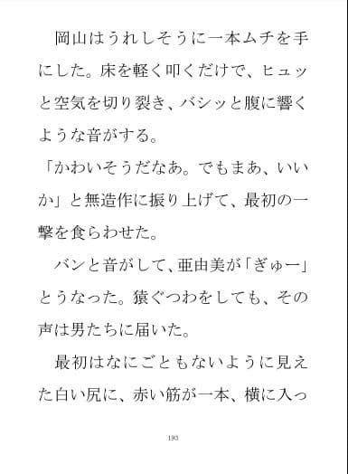 小説『亜由美』第二部 サンプル 2