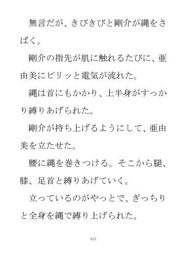 小説『亜由美』第二部 サンプル 3