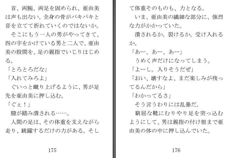 小説『亜由美』第三部 サンプル 1