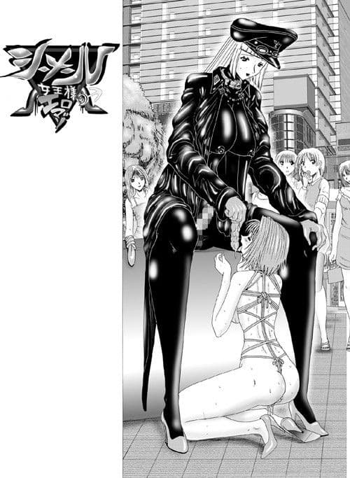 シーメール女王様のエロマゾ2と3 サンプル 1