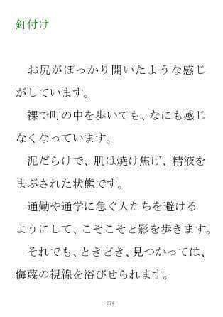 小説『家畜妻の歌』 サンプル 2