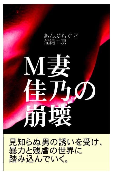 M妻佳乃の崩壊 サンプル 1