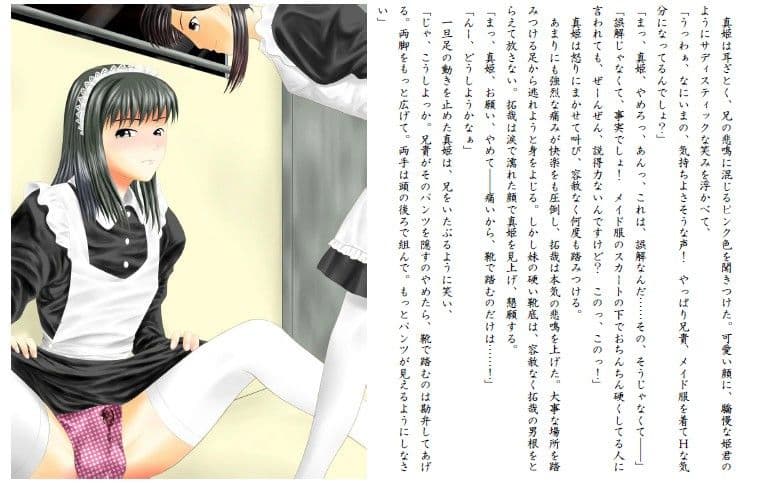 あにめいど！ 〜うちの兄貴はメイドさん！〜 サンプル 1