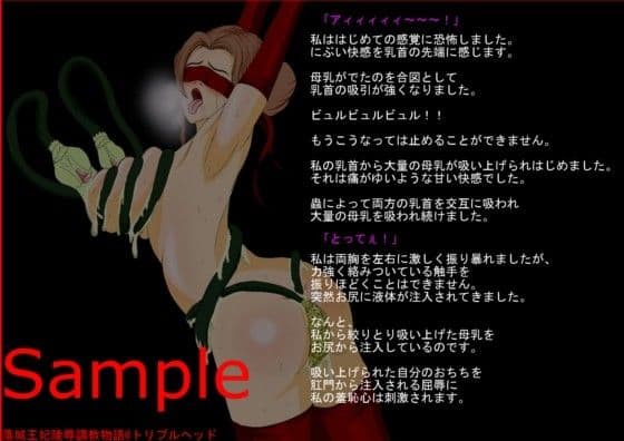 落城王妃陵●調教物語 サンプル 4