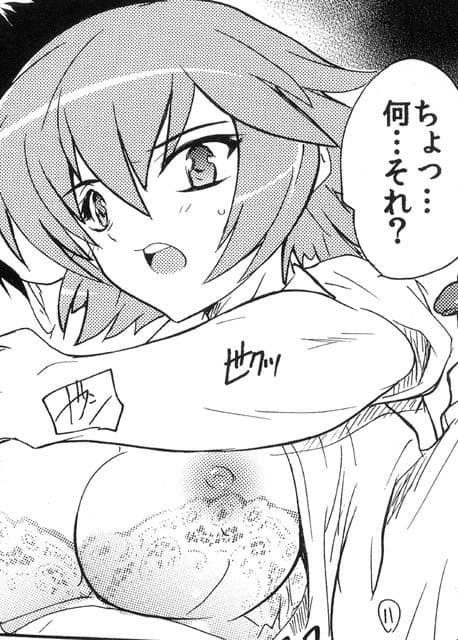 【121】奴●生徒会長〜楯無〜 サンプル 1