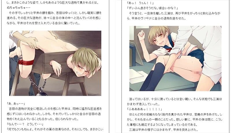 ルドラの嬌声2〜女性化完了報告書〜 サンプル 2