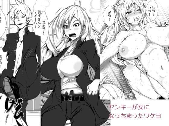ヤンキーが女になっちまったワケヨ