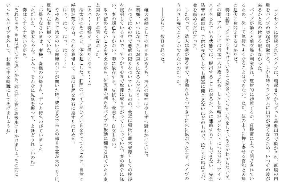 別離と邂逅 〜メイドと少女と雌犬奴●〜 サンプル 3