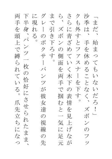 お仕置きされる男たち-レディース編 サンプル 1