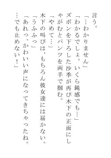 お仕置きされる男たち-レディース編 サンプル 3
