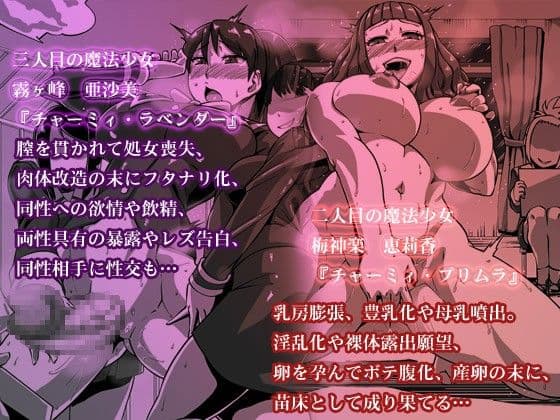 凌●魔法少女「チャーミィ・サーヴァンツ」 サンプル 2