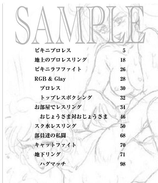 Meto@Web 1996-2004 キャットファイト ラフ画イラストデッサン集 サンプル 1