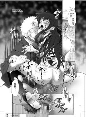 Complete Collection_DL サンプル 2