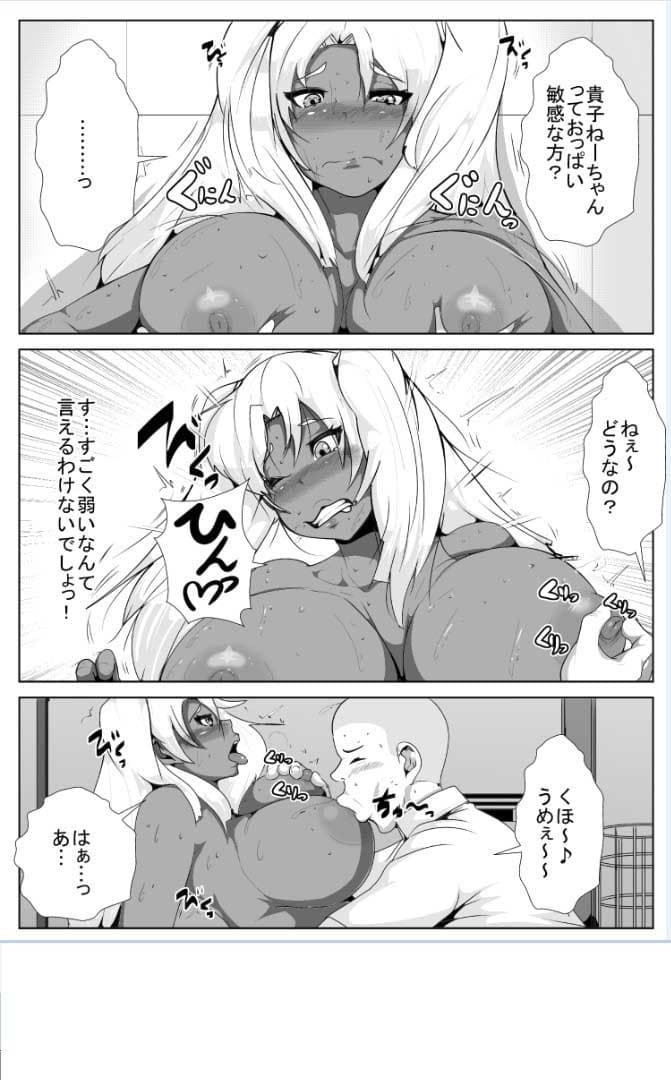僕のギャルな姉ちゃんが堕とされた…がっ！ サンプル 1