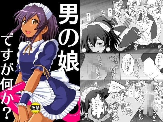 男の娘ですが何か？