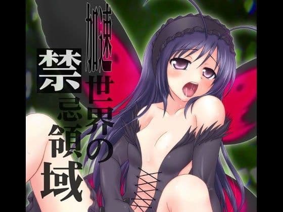 加速世界の禁忌領域