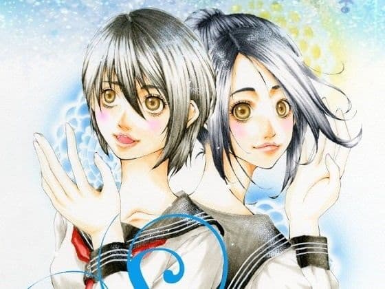 Snow Tears