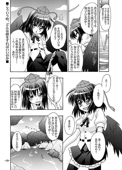 幻想郷探訪録弐 サンプル 3