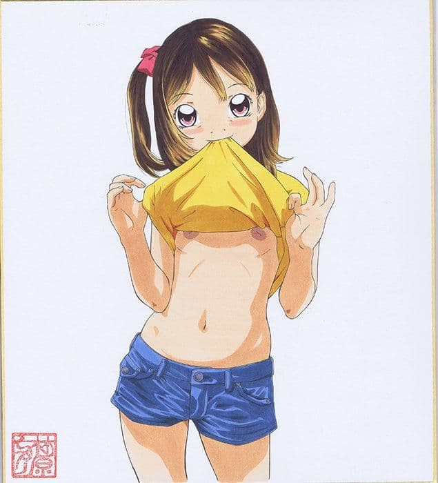 色紙図鑑1 サンプル 3