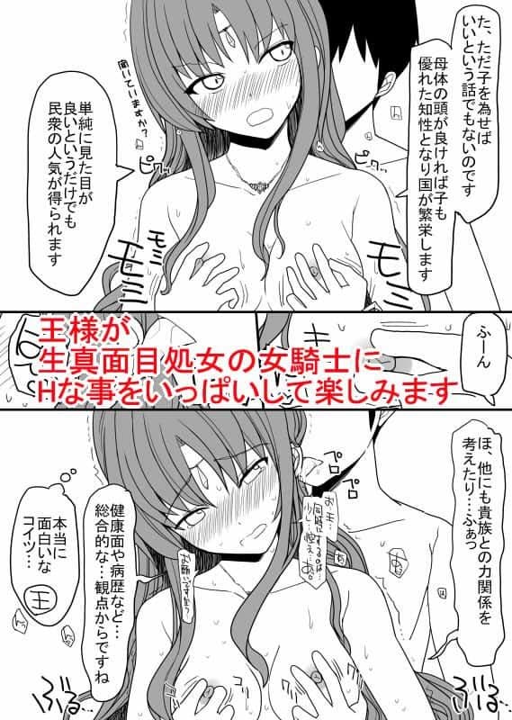 頭の固い女騎士をチ○ポの力でトロトロにする話 サンプル 1