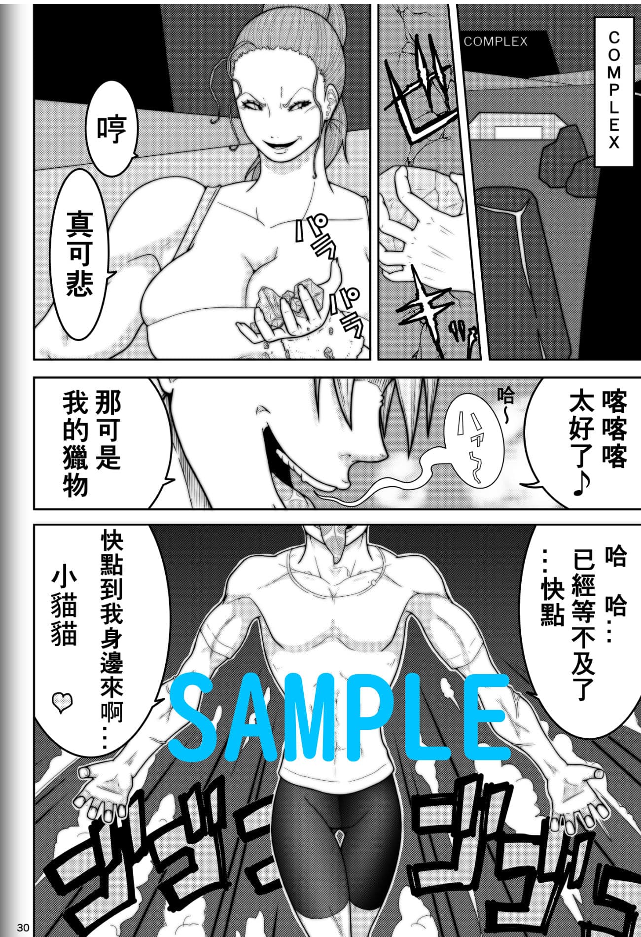 Fighting Game New （＋中文） サンプル 5