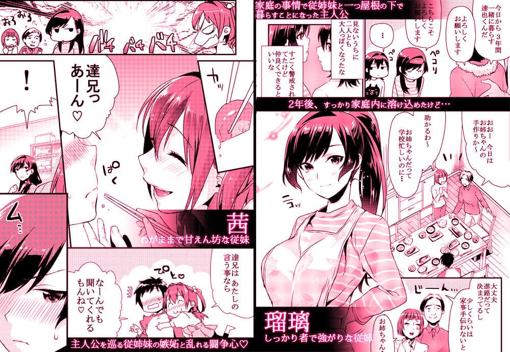 姉君妹君総集編 サンプル 2