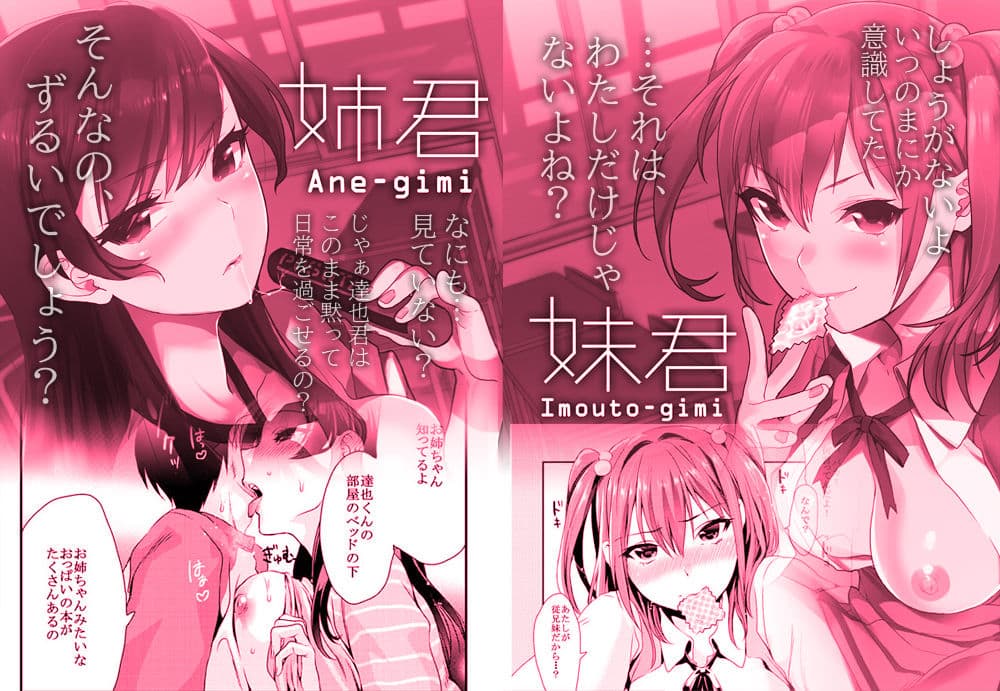 姉君妹君総集編 サンプル 3