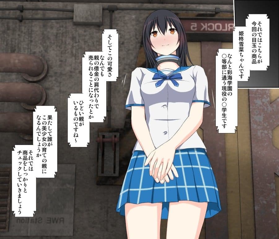 姫柊奴●競売 サンプル 1