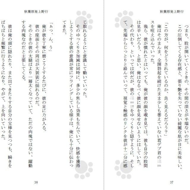 秋葉原発上野行 サンプル 1