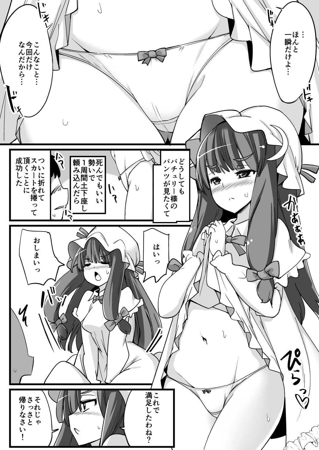 パチュリー様はお願いすればヤラせてくれる サンプル 1